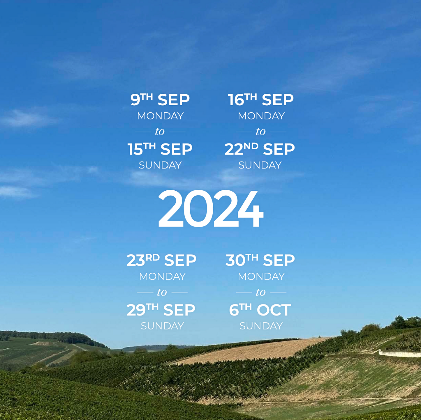 Wine Tour of France 2024
