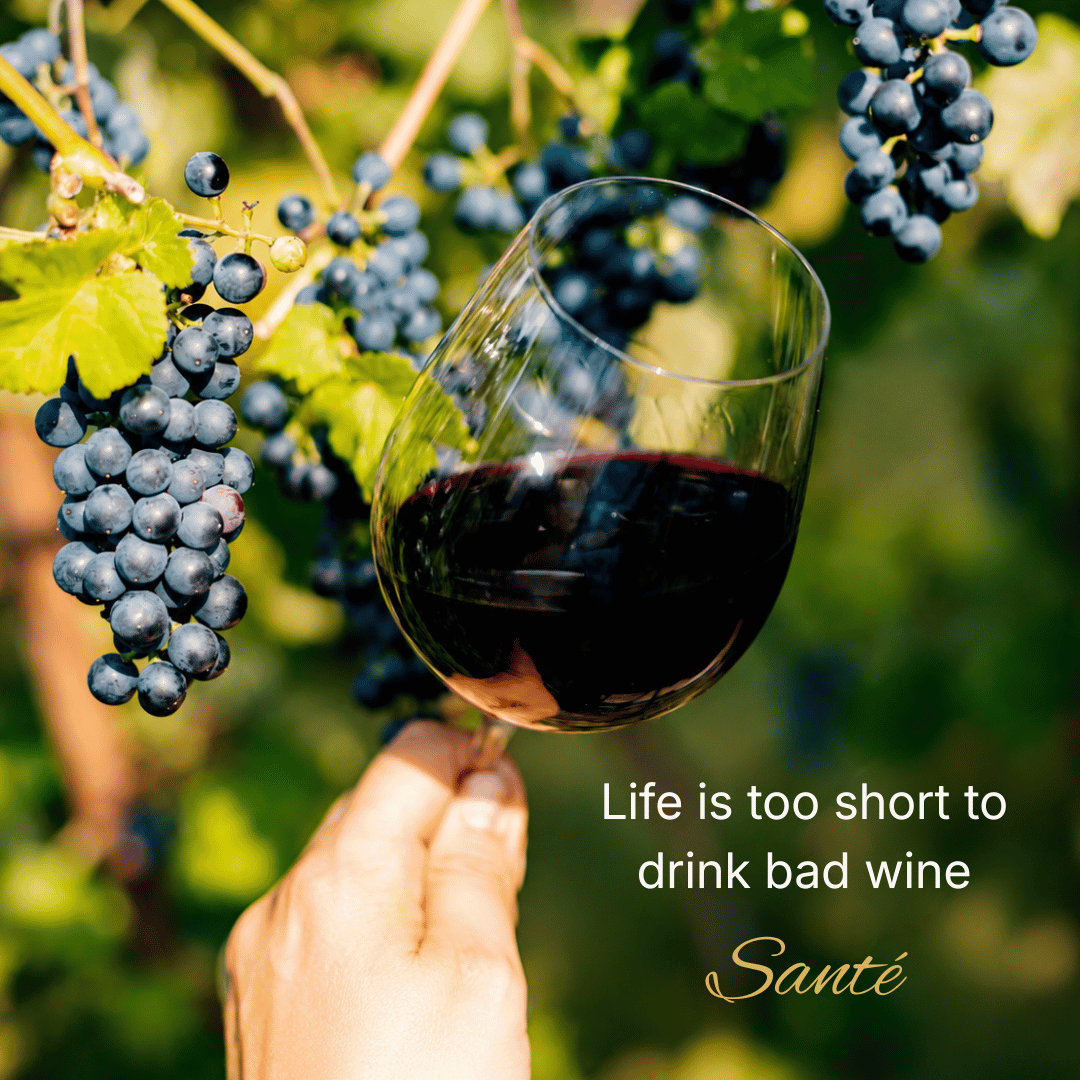 SOM Australia - French Wine Tour 2027