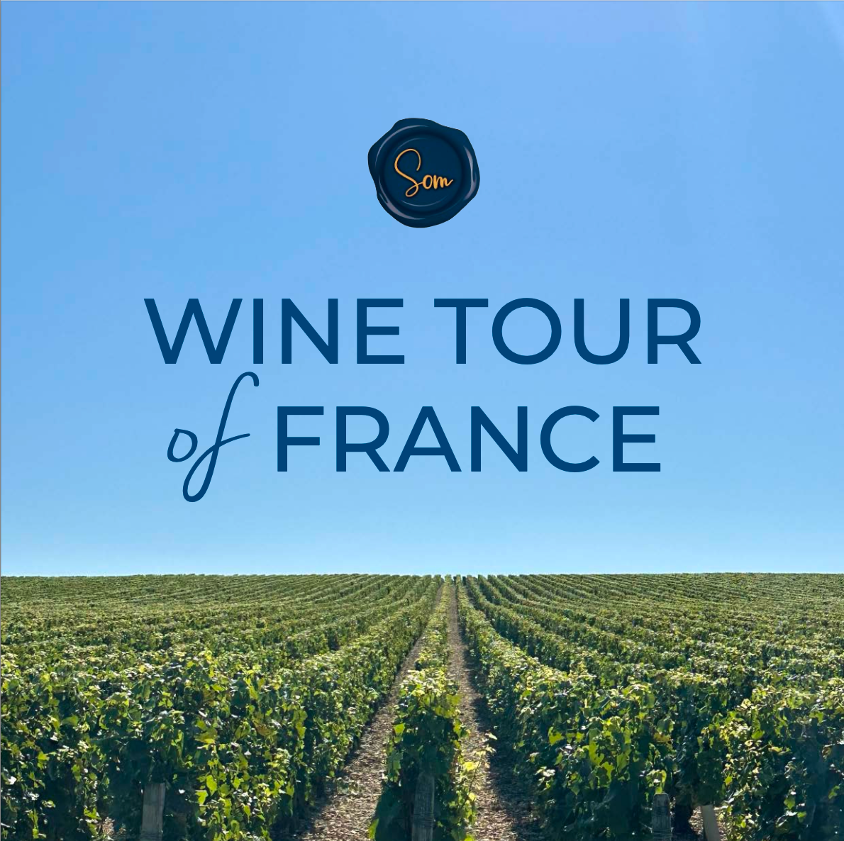 Wine Tour of France 2025